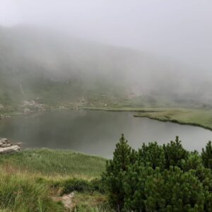Корпоратив в Карпатах